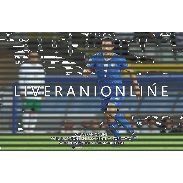 Qualificazioni ai Campionati Mondiali Sud Africa 2010 Gruppo 8 Torino - 09.09.2009 Italia-Bulgaria Nella Foto:CAMORANESI MAURO GERMAN /Ph.Vitez-Ag. Aldo Liverani