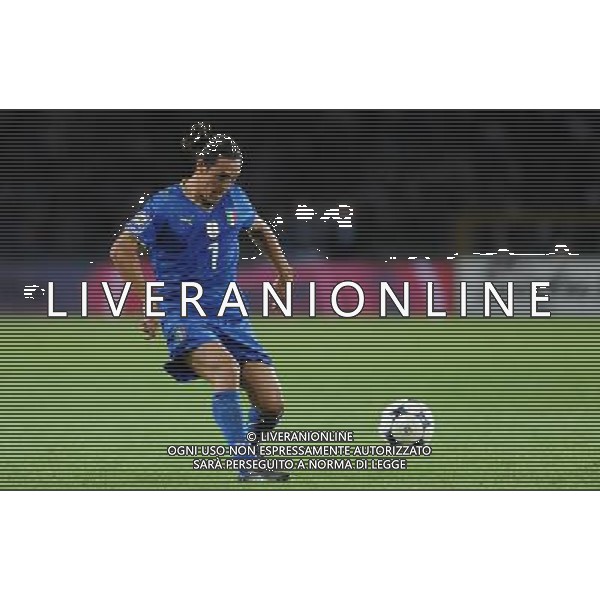 Qualificazioni ai Campionati Mondiali Sud Africa 2010 Gruppo 8 Torino - 09.09.2009 Italia-Bulgaria Nella Foto:CAMORANESI MAURO GERMAN /Ph.Vitez-Ag. Aldo Liverani