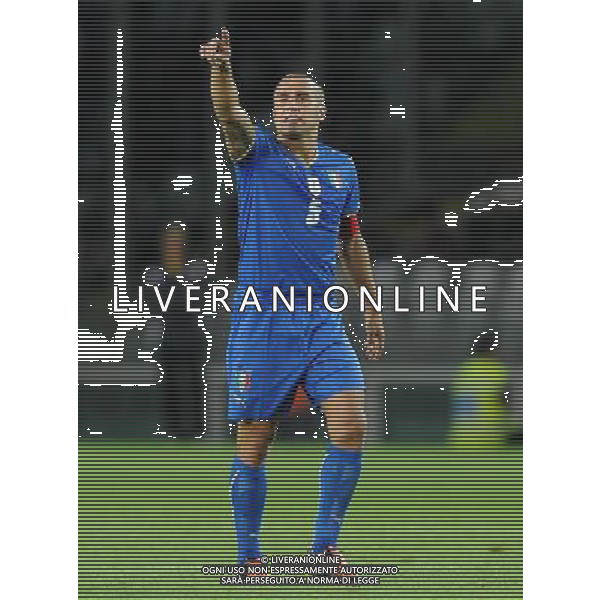 Qualificazioni ai Campionati Mondiali Sud Africa 2010 Gruppo 8 Torino - 09.09.2009 Italia-Bulgaria Nella Foto:CANNAVARO FABIO /Ph.Vitez-Ag. Aldo Liverani