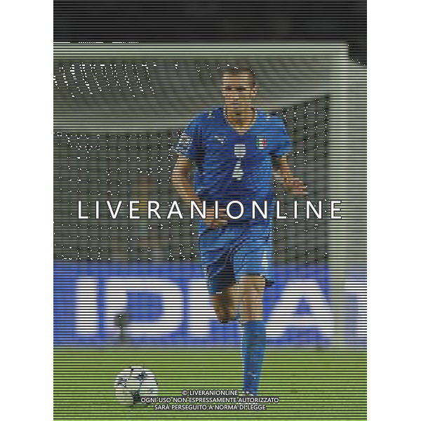 Qualificazioni ai Campionati Mondiali Sud Africa 2010 Gruppo 8 Torino - 09.09.2009 Italia-Bulgaria Nella Foto:CHIELLINI GIORGIO /Ph.Vitez-Ag. Aldo Liverani