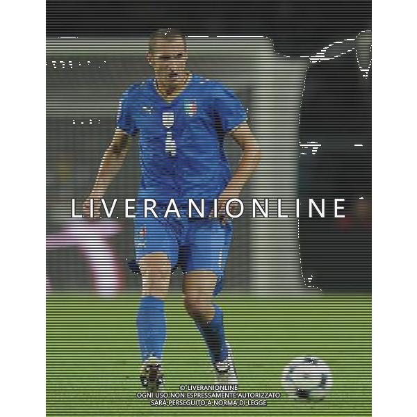 Qualificazioni ai Campionati Mondiali Sud Africa 2010 Gruppo 8 Torino - 09.09.2009 Italia-Bulgaria Nella Foto:CHIELLINI GIORGIO /Ph.Vitez-Ag. Aldo Liverani