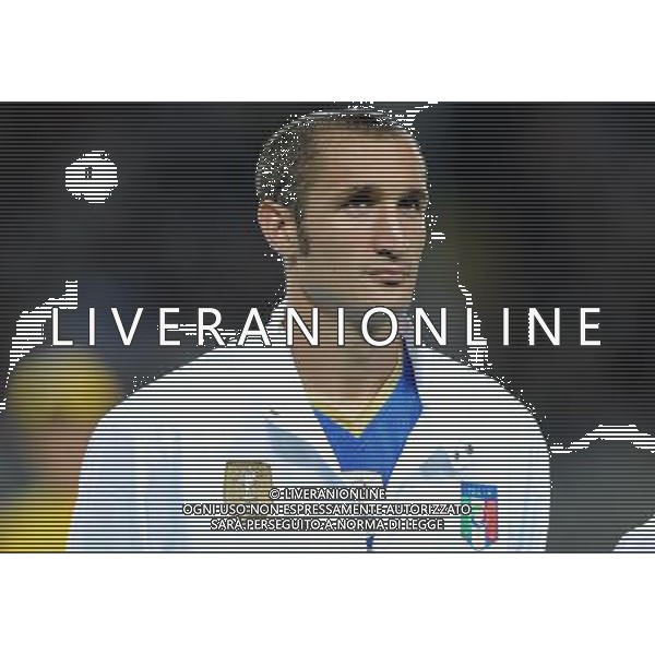 Qualificazioni ai Campionati Mondiali Sud Africa 2010 Gruppo 8 Torino - 09.09.2009 Italia-Bulgaria Nella Foto:CHIELLINI GIORGIO /Ph.Vitez-Ag. Aldo Liverani