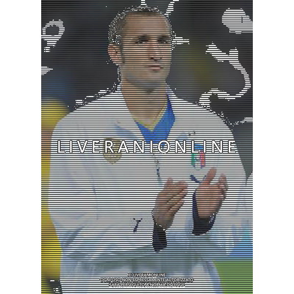 Qualificazioni ai Campionati Mondiali Sud Africa 2010 Gruppo 8 Torino - 09.09.2009 Italia-Bulgaria Nella Foto:CHIELLINI GIORGIO /Ph.Vitez-Ag. Aldo Liverani