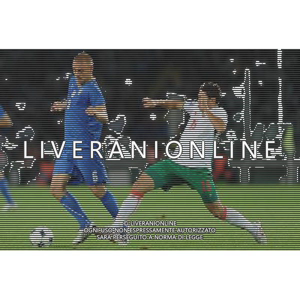 Qualificazioni ai Campionati Mondiali Sud Africa 2010 Gruppo 8 Torino - 09.09.2009 Italia-Bulgaria Nella Foto:DE ROSSI DANIELE /Ph.Vitez-Ag. Aldo Liverani