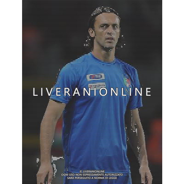 Qualificazioni ai Campionati Mondiali Sud Africa 2010 Gruppo 8 Torino - 09.09.2009 Italia-Bulgaria Nella Foto:LEGROTTAGLIE NICOLA /Ph.Vitez-Ag. Aldo Liverani