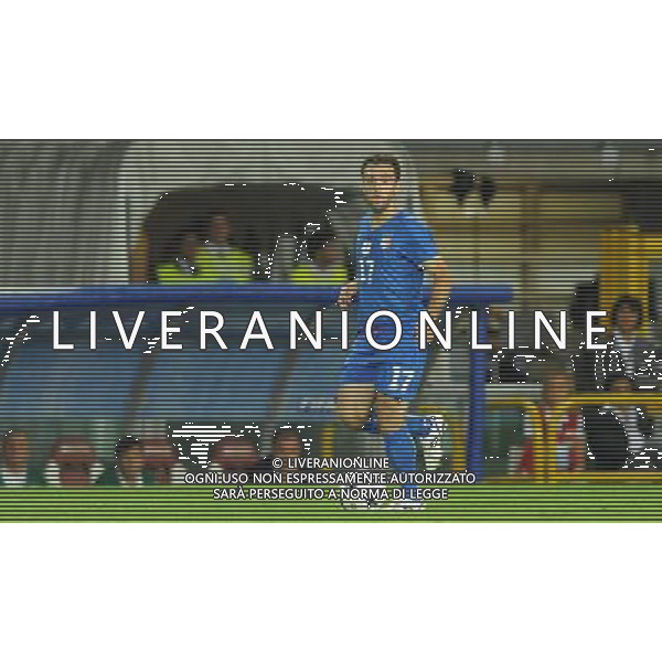 Qualificazioni ai Campionati Mondiali Sud Africa 2010 Gruppo 8 Torino - 09.09.2009 Italia-Bulgaria Nella Foto:ROSSI GIUSEPPE /Ph.Vitez-Ag. Aldo Liverani