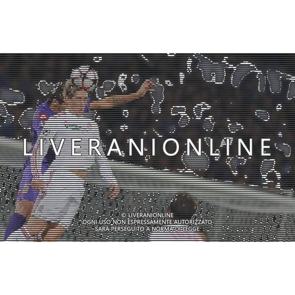 Champions League 2009/2010 Gruppo E Firenze - 29.09.2009 ACF Fiorentina-FC Liverpool Nella Foto:TORRES FERNANDO /Ph.Vitez-Ag. Aldo Liverani