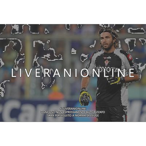 Champions League 2009/2010 Gruppo E Firenze - 29.09.2009 ACF Fiorentina-FC Liverpool Nella Foto:FREY SEBASTIAN /Ph.Vitez-Ag. Aldo Liverani