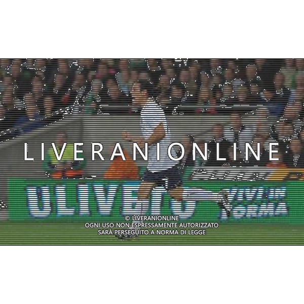 Qualificazioni ai Campionati Mondiali Sud Africa 2010 Gruppo 8 Dublino - 10.10.2009 Irlanda EIRE-Italia Nella Foto:L\'ESULTANZA DI CAMORANESI DOPO IL GOL /Ph.Vitez-Ag. Aldo Liverani