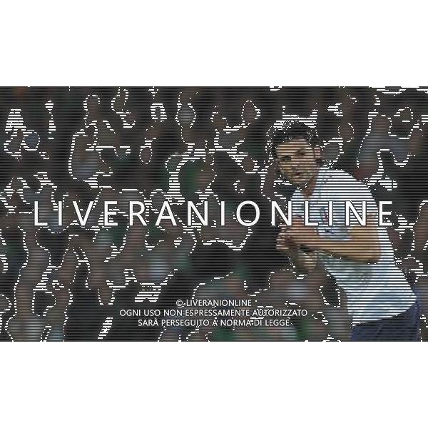 Qualificazioni ai Campionati Mondiali Sud Africa 2010 Gruppo 8 Dublino - 10.10.2009 Irlanda EIRE-Italia Nella Foto:IAQUINTA /Ph.Vitez-Ag. Aldo Liverani