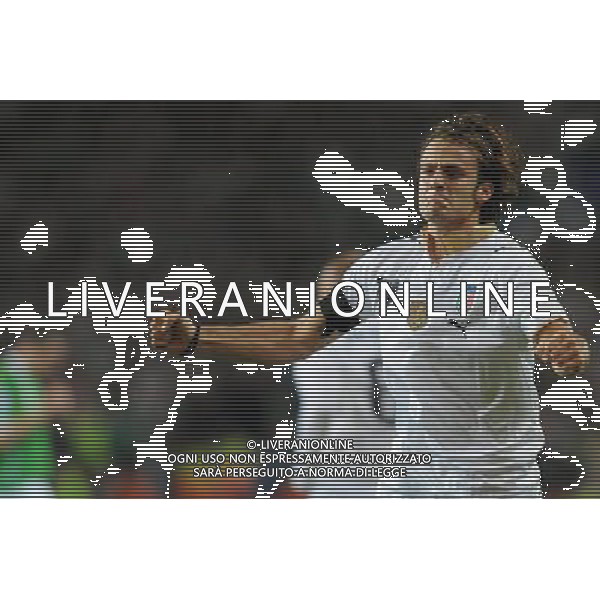 Qualificazioni ai Campionati Mondiali Sud Africa 2010 Gruppo 8 Dublino - 10.10.2009 Irlanda EIRE-Italia Nella Foto:L\'ESULTANZA DI ALBERTO GILARDINO DOPO IL GOL /Ph.Vitez-Ag. Aldo Liverani