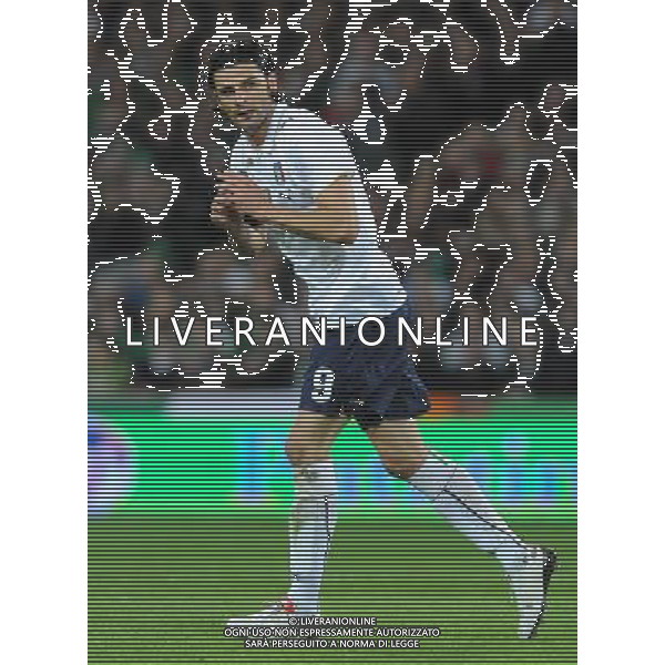 Qualificazioni ai Campionati Mondiali Sud Africa 2010 Gruppo 8 Dublino - 10.10.2009 Irlanda EIRE-Italia Nella Foto:IAQUINTA VINCENZO /Ph.Vitez-Ag. Aldo Liverani