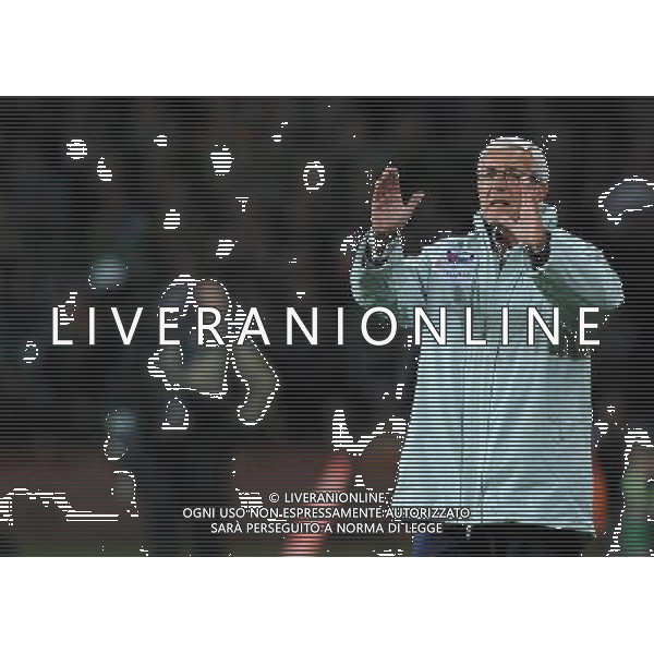 Qualificazioni ai Campionati Mondiali Sud Africa 2010 Gruppo 8 Dublino - 10.10.2009 Irlanda EIRE-Italia Nella Foto:LIPPI MARCELLO /Ph.Vitez-Ag. Aldo Liverani