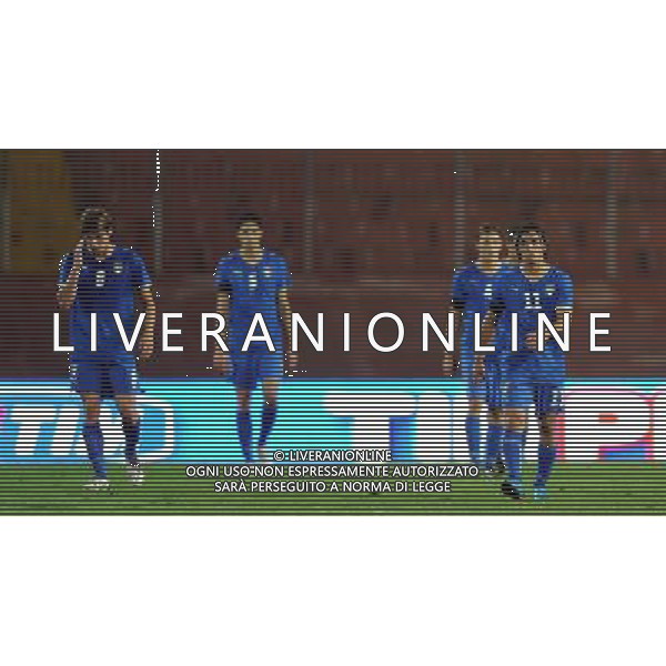 Qualificazioni ai Campionati Europei Under 21 Girone 3 Mantova - 13.10.2009 Italia-Bosnia Herzegovina Nella Foto:DELUSIONE ITALIA AL GOL DI CORIC /Ph.Vitez-Ag. Aldo Liverani