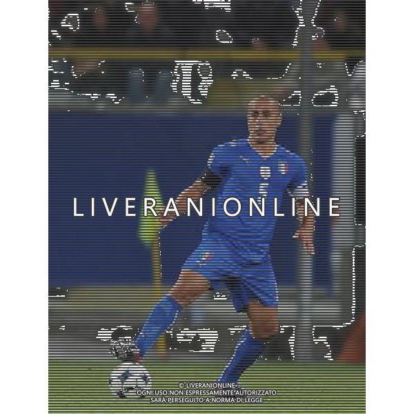 Qualificazioni ai Campionati Mondiali Sud Africa 2010 Gruppo 8 Parma - 14.10.2009 Italia-Cipro Nella Foto:CANNAVARO /Ph.Vitez-Ag. Aldo Liverani