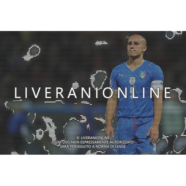 Qualificazioni ai Campionati Mondiali Sud Africa 2010 Gruppo 8 Parma - 14.10.2009 Italia-Cipro Nella Foto:CANNAVARO /Ph.Vitez-Ag. Aldo Liverani