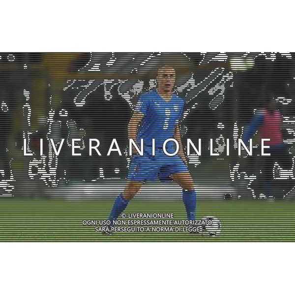 Qualificazioni ai Campionati Mondiali Sud Africa 2010 Gruppo 8 Parma - 14.10.2009 Italia-Cipro Nella Foto:CANNAVARO FABIO /Ph.Vitez-Ag. Aldo Liverani