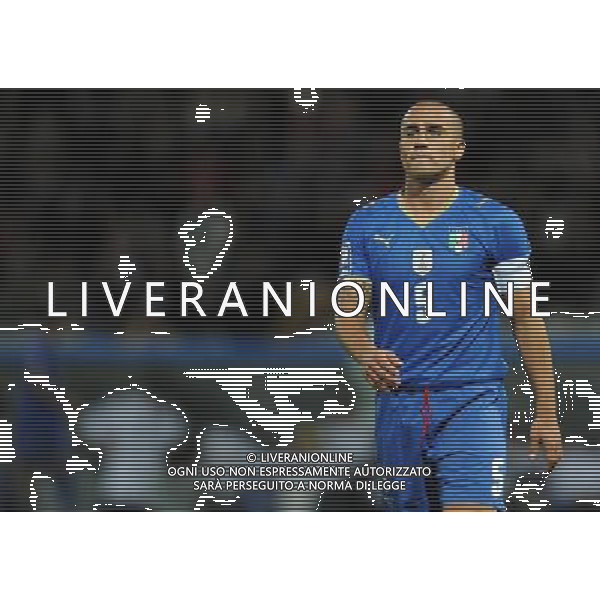 Qualificazioni ai Campionati Mondiali Sud Africa 2010 Gruppo 8 Parma - 14.10.2009 Italia-Cipro Nella Foto:CANNAVARO FABIO /Ph.Vitez-Ag. Aldo Liverani