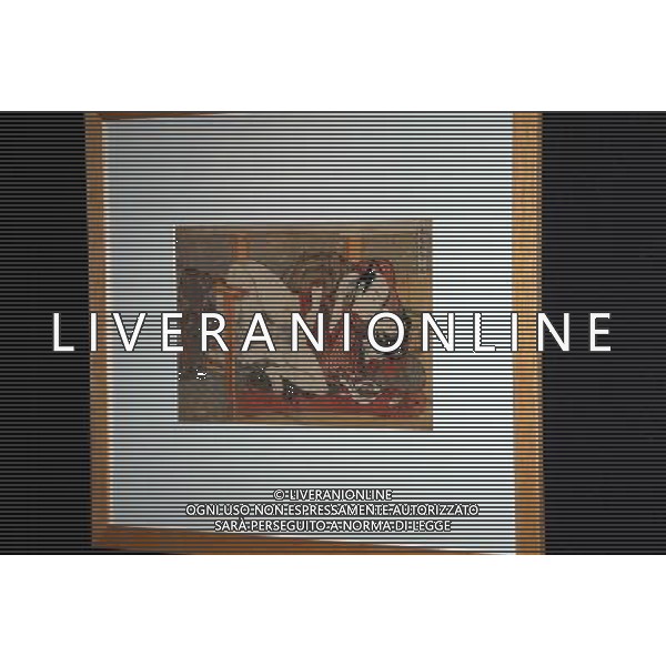 PRESENTAZIONE MOSTRA - SHUNGA, ARTE ED EROS NEL GIAPPONE DEL PERIODO EDO - Milano - Sala delle Otto Colonne a Palazzo Reale © Antonio Sorano - Ag. Aldo Liverani sas