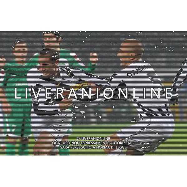 21-10-2009 Torino Sport-Calcio Juventus Maccabi Haifa Champions League 2009/2010 Nella foto: esultanza gol di chiellini ag aldo liverani 