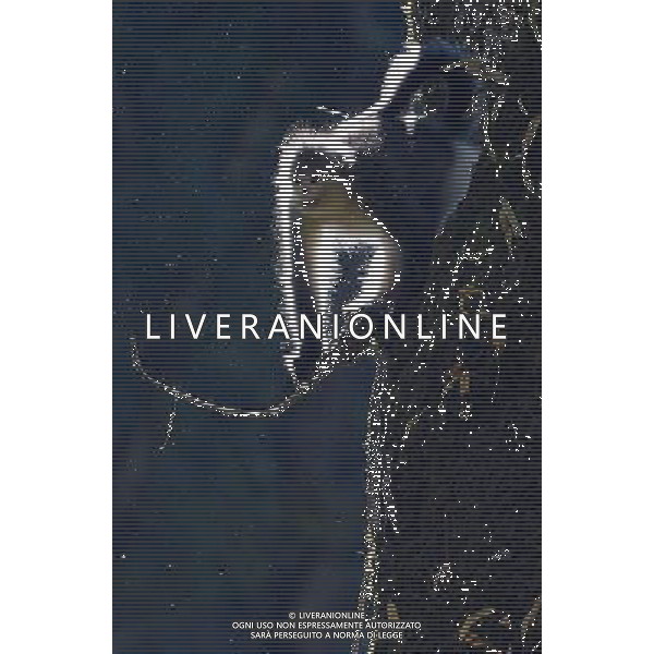 Le scimmie dal naso camuso ( black snub-nosed monkey), devono il loro nome comune al breve moncone di naso che spicca sulla loro faccia rotonda, con le narici disposte in avanti. vivono in Asia e il loro areale va dalla Cina meridionale (soprattutto Tibet, Sichuan, Yunnan) © Lin Yiguang - Xinhua/Photoshot - Ag. Aldo Liverani sas ITALY ONLY