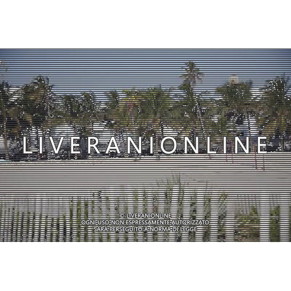 South Beach and the palm trees of Ocean Drive on Miami Beach, America /Agenzia Aldo Liverani Sas - ITALY ONLY -