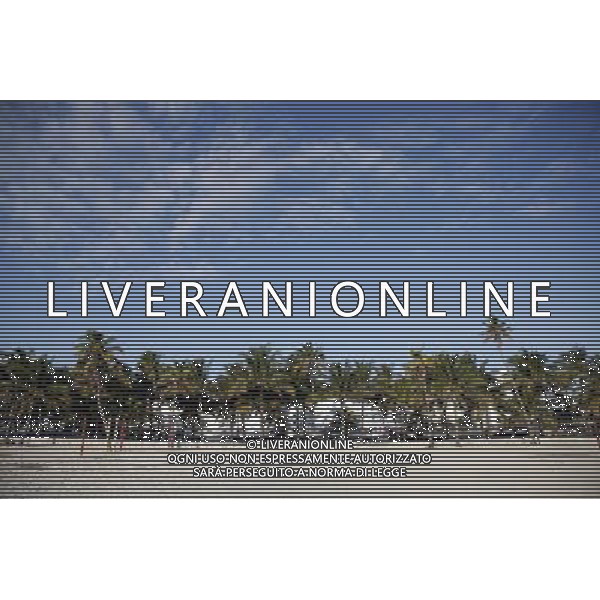 The sand of South Beach and palm trees in the art deco district on Ocean Drive on Miami Beach, America /Agenzia Aldo Liverani Sas - ITALY ONLY -