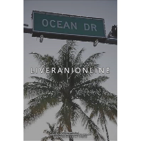 Ocean Drive street sign and palm tree on Miami Beach, America /Agenzia Aldo Liverani Sas - ITALY ONLY -