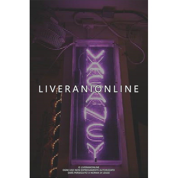 Illuminated neon hotel vacancy sign in the art deco district on Ocean Drive on Miami Beach, America /Agenzia Aldo Liverani Sas - ITALY ONLY -