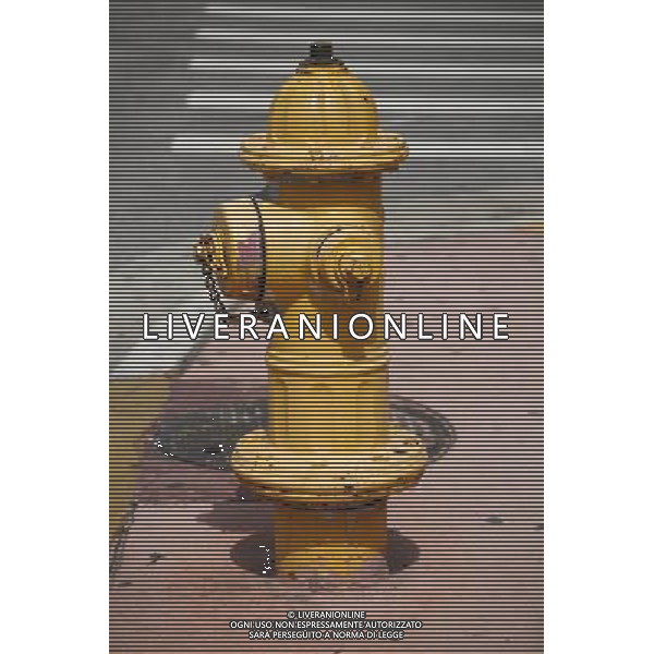 Yellow fire Hydrant in Miami Beach, America /Agenzia Aldo Liverani Sas - ITALY ONLY -