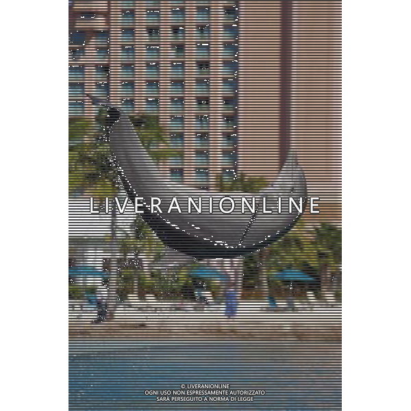 Delfino - Dolphin jumping