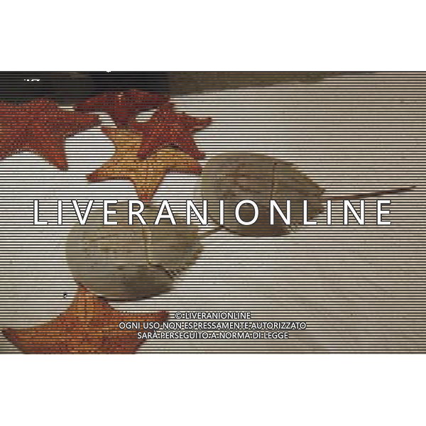 Aquarium at the Atlantis hotel resort on Paradise Island in Nassau, New Providence Island, Bahamas /Agenzia Aldo Liverani Sas - ITALY ONLY -