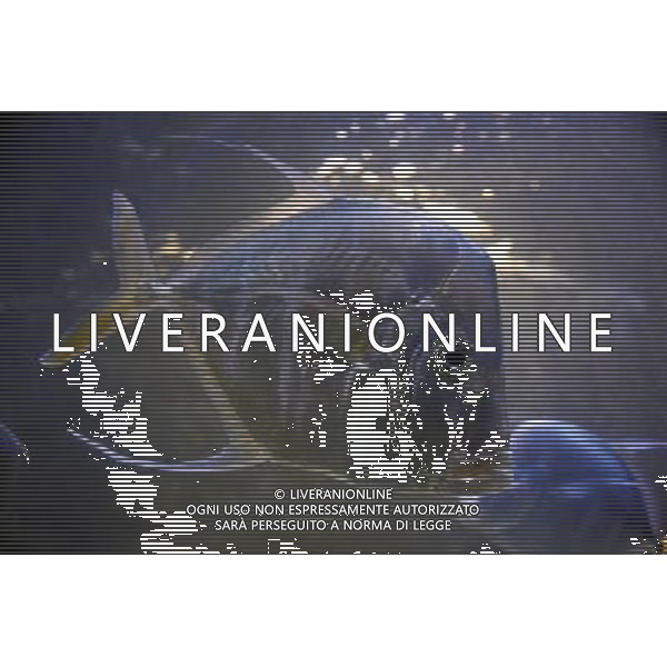 Fish swimming in the aquarium at the Atlantis hotel resort on Paradise Island in Nassau, New Providence Island, Bahamas /Agenzia Aldo Liverani Sas - ITALY ONLY -