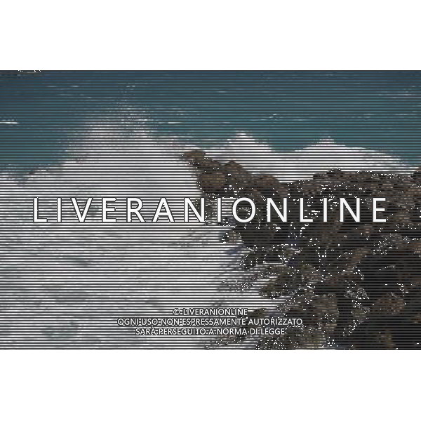 Sea breaking on a breakwater and waves in Nassau, New Providence Island, Bahamas