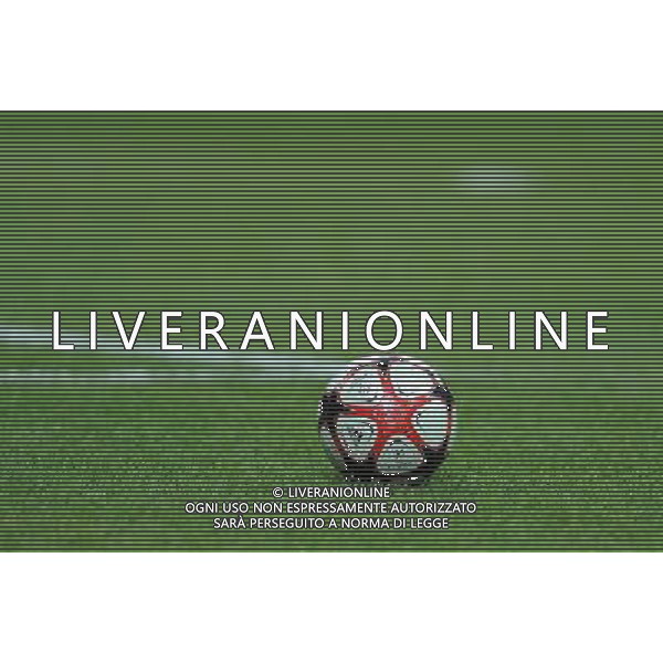 Champions League 2009/2010 Gruppo C Milano - 03.11.2009 AC Milan-Real Madrid CF Nella Foto:PALLONE CHAMPIONS LEAGUE /Ph.Vitez-Ag. Aldo Liverani