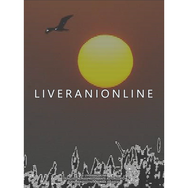 (091107) -- YINCHUAN, Nov. 7, 2009 -- A migratory bird flies at the Shahu scenic area in northwest China\'s Ningxia Hui Autonomous Region, Nov. 6, 2009. Liu Quanlong) (cl) Uccelli migratori in volo al tramonto /Agenzia Aldo Liverani sas - ITALY ONLY -