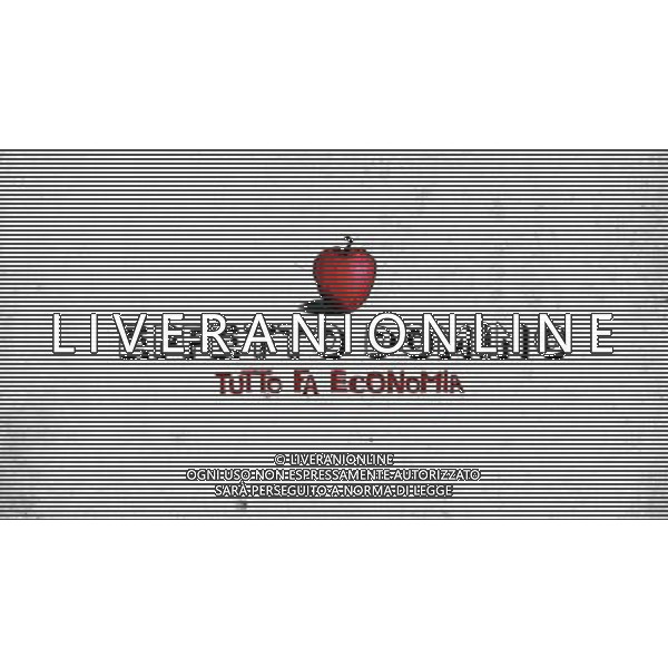 TRASMISSIONE TELEVISIVA\'Effetto domino - Tutto fa economia\' NELLA FOTO Logo AG ALDO LIVERANI