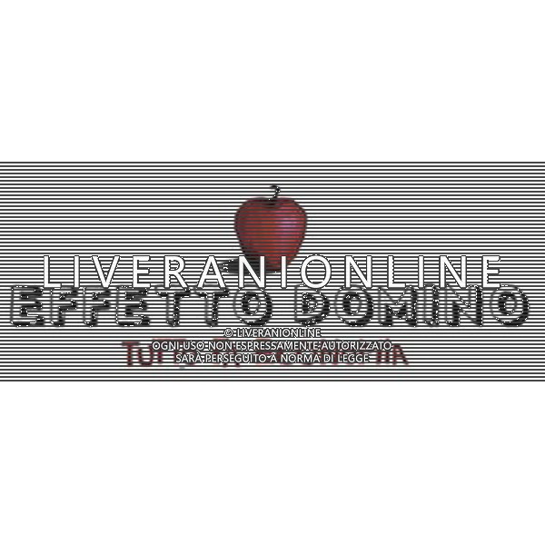 TRASMISSIONE TELEVISIVA\'Effetto domino - Tutto fa economia\' NELLA FOTO Logo AG ALDO LIVERANI