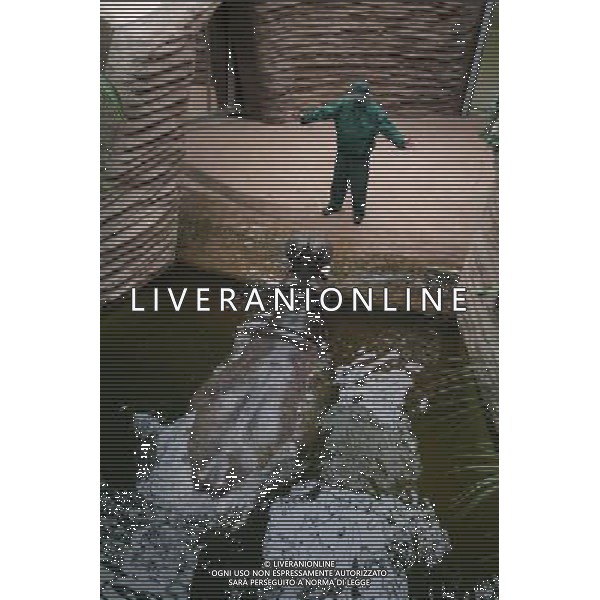 Female hippo named Aniela with her keeper at the new enclosure in Warsaw\'s zoo, Poland, 10 November 2009. New hippo Hugo joined Aniela today. Nuovo acquario dello Zoo di Varsavia in Polonia /Agenzia Aldo Liverani Sas - ITALY ONLY -