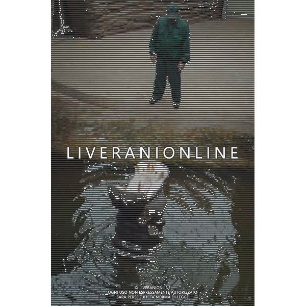 Female hippo named Aniela with her keeper at the new enclosure in Warsaw\'s zoo, Poland, 10 November 2009. New hippo Hugo joined Aniela today. Nuovo acquario dello Zoo di Varsavia in Polonia /Agenzia Aldo Liverani Sas - ITALY ONLY -