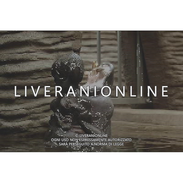 Female hippo named Aniela at the new enclosure in Warsaw\'s zoo, Poland, 10 November 2009. New hippo Hugo joined Aniela today. Nuovo acquario dello Zoo di Varsavia in Polonia /Agenzia Aldo Liverani Sas - ITALY ONLY -