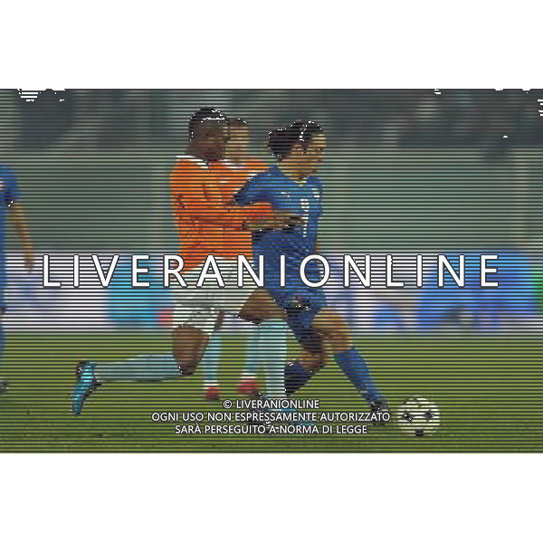 Amichevole Pescara - 14.11.2009 Italia-Olanda Nella Foto:CAMORANESI-ELIA /Ph.Vitez-Ag. Aldo Liverani