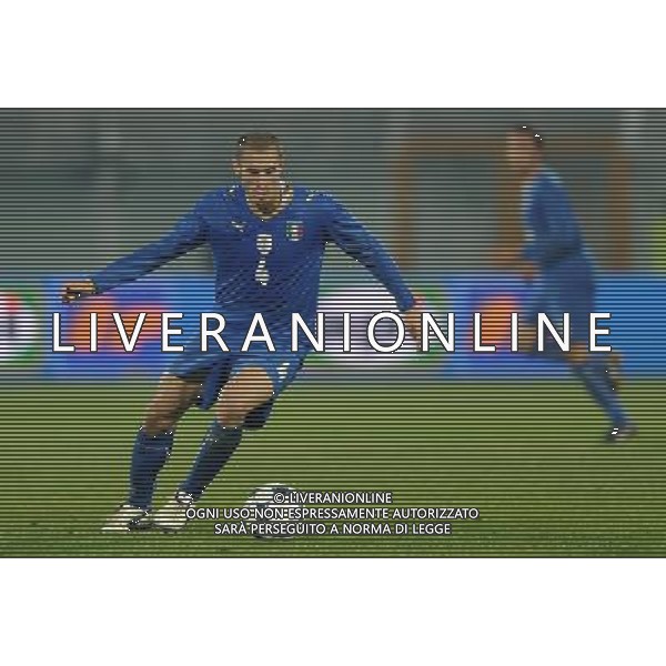 Amichevole Pescara - 14.11.2009 Italia-Olanda Nella Foto:CHIELLINI GIORGIO /Ph.Vitez-Ag. Aldo Liverani