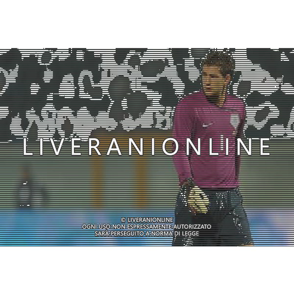 Amichevole Pescara - 14.11.2009 Italia-Olanda Nella Foto:STEKELENBURG MAARTEN /Ph.Vitez-Ag. Aldo Liverani