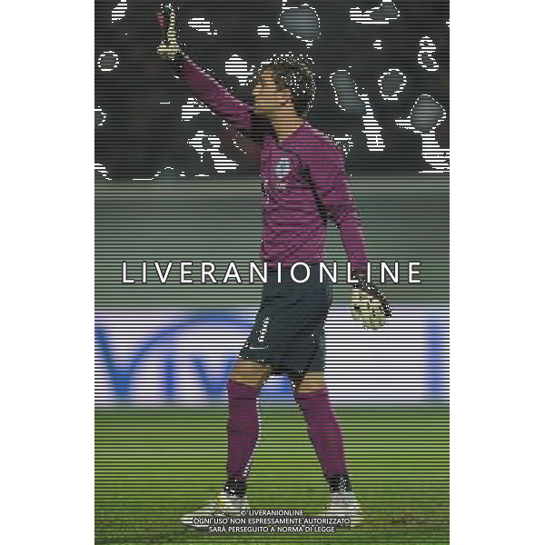 Amichevole Pescara - 14.11.2009 Italia-Olanda Nella Foto:STEKELENBURG MAARTEN /Ph.Vitez-Ag. Aldo Liverani