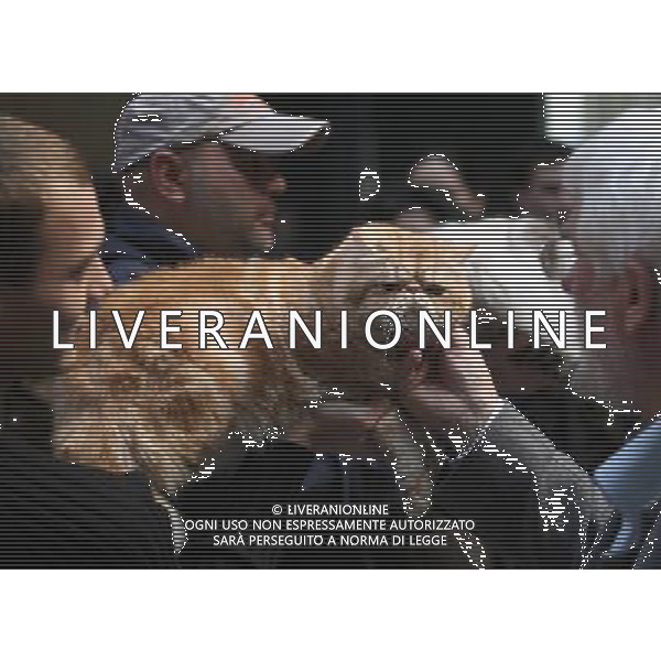 (091115) -- SOFIA, Nov. 15, 2009 -- A cat is shown during a contest in a museum in Sofia, capital of Bulgaria, on Nov. 14, 2009. A cat show with contest kicked off on Friday in Sofia. Velko Angelov) (jl) Gatto - animale - felino /Agenzia Aldo Liverani Sas - ITALY ONLY -