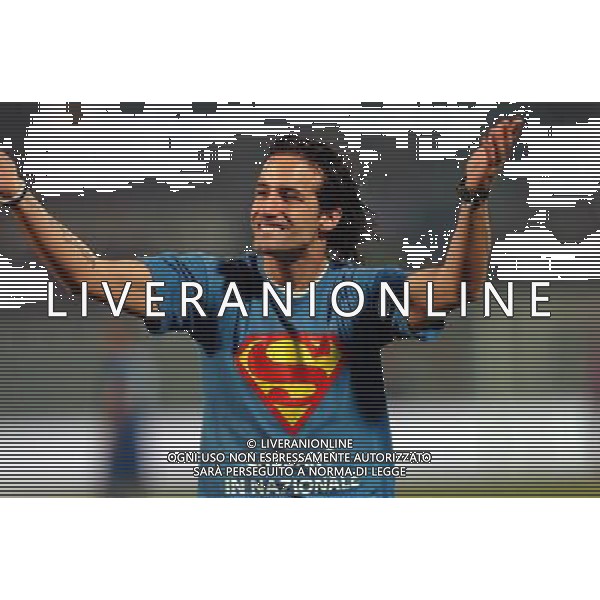 PESCARA 14/11/2009 CALCIO AMICHEVOLE ITALIA OLANDA CALCIO NELLA FOTO TIFOSO CASSANO PH AG ALDO LIVERANI SAS