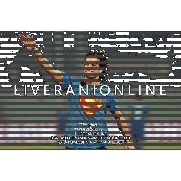 PESCARA 14/11/2009 CALCIO AMICHEVOLE ITALIA OLANDA CALCIO NELLA FOTO TIFOSO CASSANO PH AG ALDO LIVERANI SAS