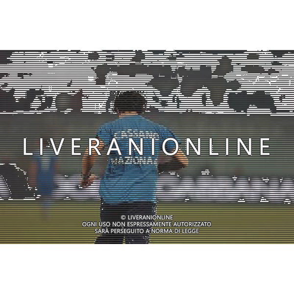 PESCARA 14/11/2009 CALCIO AMICHEVOLE ITALIA OLANDA CALCIO NELLA FOTO TIFOSO CASSANO PH AG ALDO LIVERANI SAS