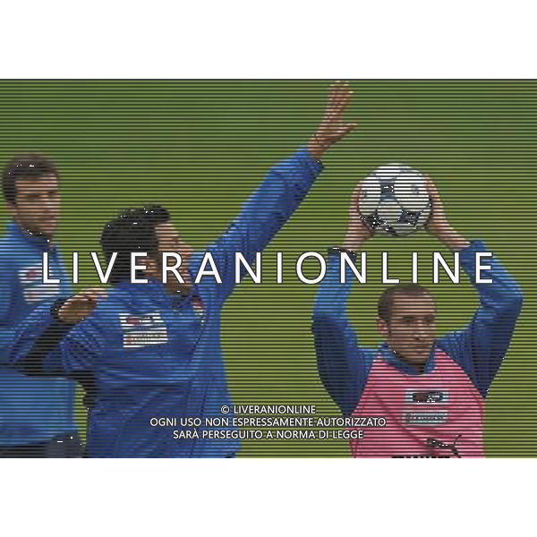 Raduno Nazionale Italiana Cesena (FC) - 17.11.2009 Allenamento Nella Foto:CHIELLINI GIORGIO -GROSSO FABIO /Ph.Vitez-Ag. Aldo Liverani